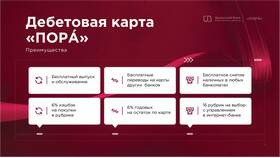 Что такое дебетовый перевод в Salamander