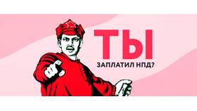 Что такое незаконные доходы в Salamander