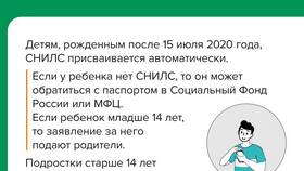 Что такое СНИЛС и где его взять в Salamander