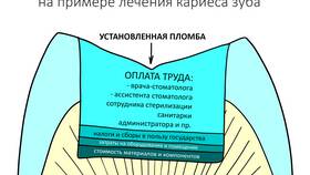 Что является стоимостью товара в Salamander