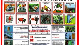 Иск Людмилы Успенской против дочери: суть заявления в Salamander