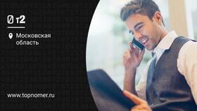 Как бесплатно позвонить в поддержку Tele2 в Salamander