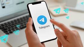 Как добавить контакт в Telegram по QR-коду в Salamander