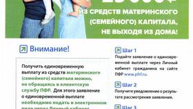 Как добровольно платить в Пенсионный фонд в Salamander