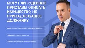 Как избежать описи имущества судебными приставами в Salamander