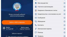 Как корректировать декларацию в личном кабинете налогоплательщика в Salamander