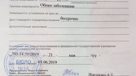 Как называется медицинская комиссия для оформления инвалидности в Salamander