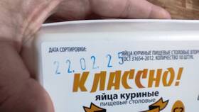 Как отменить заказ в Самокате в Salamander