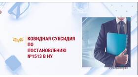Как отразить субсидии в 1С 8.3 в Salamander