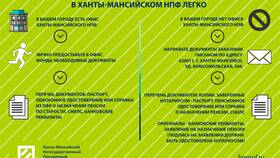 Как получить деньги из НПФ до наступления пенсии в Salamander