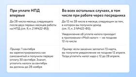 Как правильно проводить платежи через самозанятость в Salamander