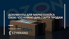 Как продать старые книги на Ozon в Salamander