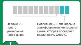 Как рассчитать контрольную цифру СНИЛС в Salamander