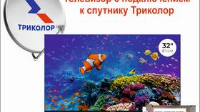 Как смотреть Триколор через интернет без спутниковой тарелки в Salamander