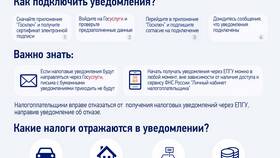 КНО по налогу: что это такое в Salamander