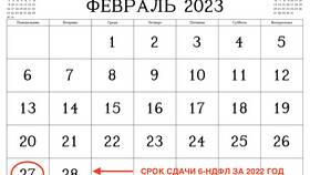 Код НДФЛ 2720: что это в Salamander