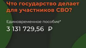 Образец справки о том, что не получал единовременную выплату в Salamander