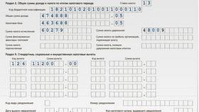 Организация не удержала НДФЛ: что делать в Salamander