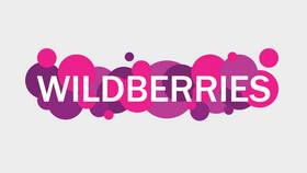 От чего зависит доставка на Wildberries в Salamander