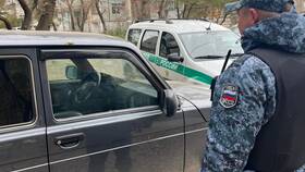 Погасил долг приставам: что дальше в Salamander