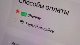 Причины отсутствия доставки в Dodo Pizza в Salamander