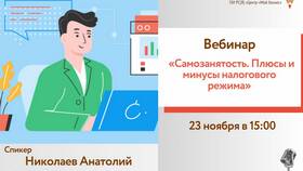 Самозанятость: преимущества и недостатки
