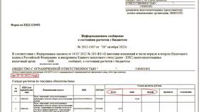 Учет штрафов, пеней и неустоек в составе расходов в Salamander