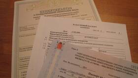 Зачем нотариус требует справку из БТИ в Salamander
