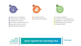 Заявление об отказе от наследства в Salamander